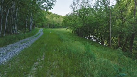 5.12 Surveyed and Unrestricted Riverfront Acres For Sale - image 6