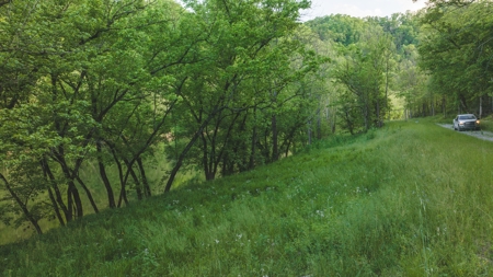 5.12 Surveyed and Unrestricted Riverfront Acres For Sale - image 10