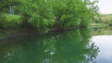 5.12 Surveyed and Unrestricted Riverfront Acres For Sale - image 1