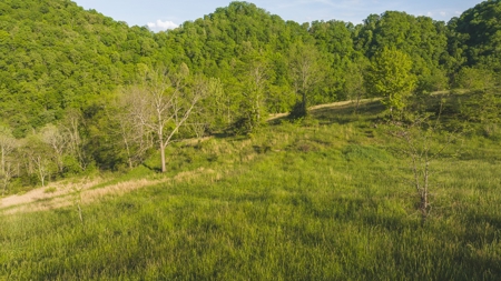 5.12 Surveyed and Unrestricted Riverfront Acres For Sale - image 3