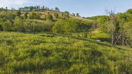 5.12 Surveyed and Unrestricted Riverfront Acres For Sale - image 2