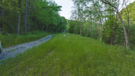 5.14 Surveyed and Unrestricted Riverfront Acres For Sale - image 5