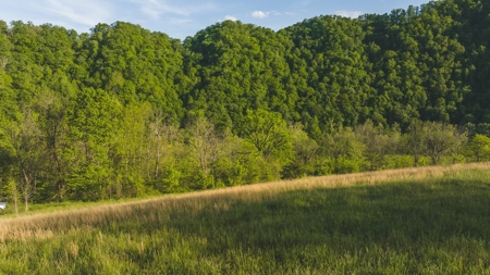 5.14 Surveyed and Unrestricted Riverfront Acres For Sale - image 3
