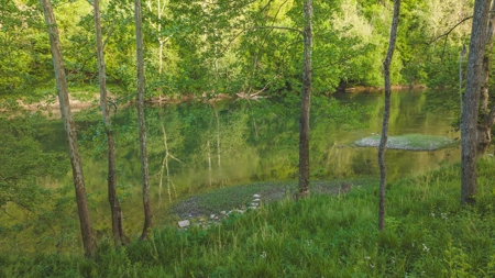 5.14 Surveyed and Unrestricted Riverfront Acres For Sale - image 6