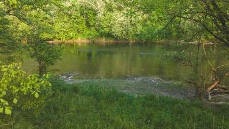 5.09 Unrestricted and Surveyed Riverfront Acres For Sale - image 8