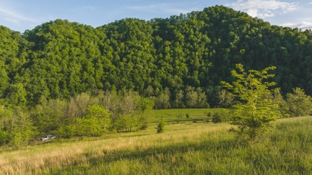 5.09 Unrestricted and Surveyed Riverfront Acres For Sale - image 6