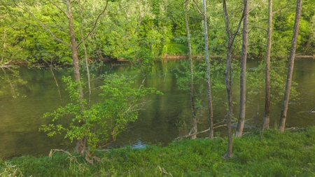 5.09 Unrestricted and Surveyed Riverfront Acres For Sale - image 1