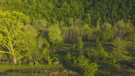5.09 Unrestricted and Surveyed Riverfront Acres For Sale - image 7