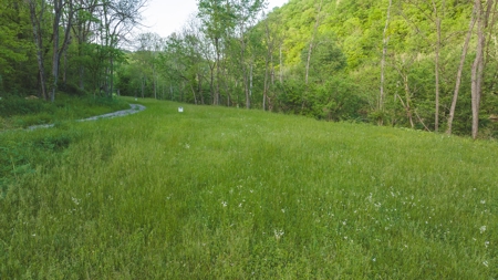 5.09 Unrestricted and Surveyed Riverfront Acres For Sale - image 9