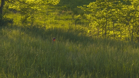 5.09 Unrestricted and Surveyed Riverfront Acres For Sale - image 5