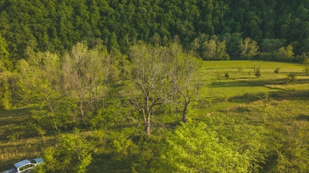5.25 Surveyed, Unrestricted Riverfront Acres for sale - image 1