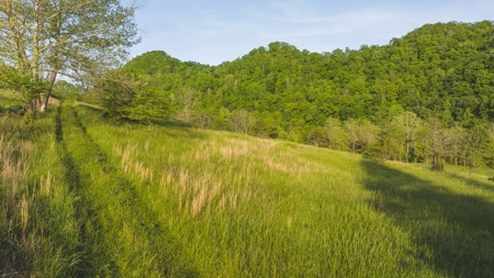 5.25 Surveyed, Unrestricted Riverfront Acres for sale - image 8