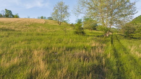 5.25 Surveyed, Unrestricted Riverfront Acres for sale - image 6
