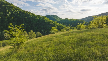 5.25 Surveyed, Unrestricted Riverfront Acres for sale - image 2