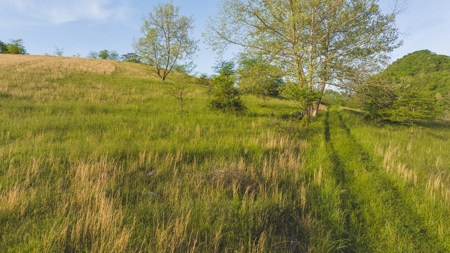 5.25 Surveyed, Unrestricted Riverfront Acres for sale - image 7