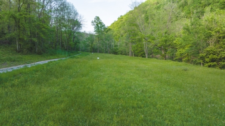 5.25 Surveyed, Unrestricted Riverfront Acres for sale - image 9