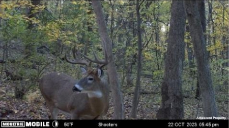 Home with Acreage for sale in De Soto, Wisconsin - image 34