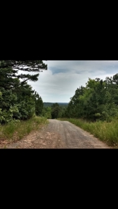 Land for Sale Southeast Oklahoma- Latimer County - Oklahoma - image 6