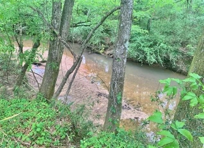 Riverfront Pine Timberland for sale in Pike County MS - image 1