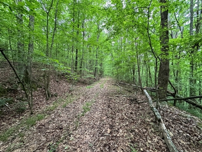 153+/- Acres with Home and Shop For Sale in Pangburn, AR - image 47