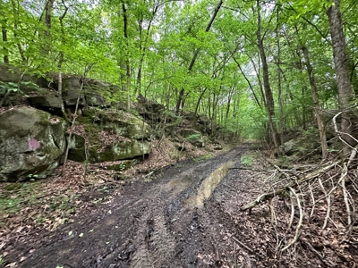 153+/- Acres with Home and Shop For Sale in Pangburn, AR - image 45
