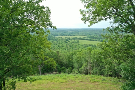 153+/- Acres with Home and Shop For Sale in Pangburn, AR - image 39