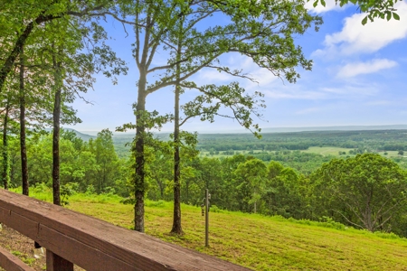 153+/- Acres with Home and Shop For Sale in Pangburn, AR - image 10