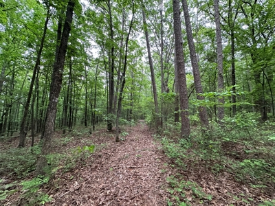 153+/- Acres with Home and Shop For Sale in Pangburn, AR - image 48