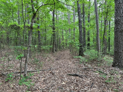 153+/- Acres with Home and Shop For Sale in Pangburn, AR - image 50