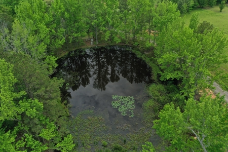 153+/- Acres with Home and Shop For Sale in Pangburn, AR - image 38