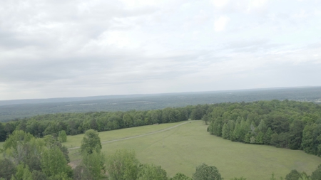 153+/- Acres with Home and Shop For Sale in Pangburn, AR - image 37