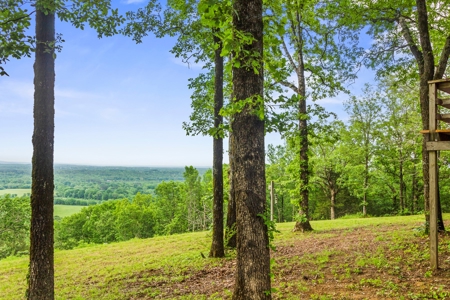 153+/- Acres with Home and Shop For Sale in Pangburn, AR - image 32