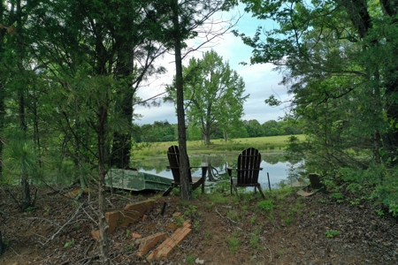 153+/- Acres with Home and Shop For Sale in Pangburn, AR - image 40