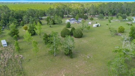 3 Bed 2 Bath Mobile Home On Almost 4.5 Acres - image 5