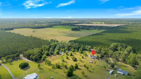 3 Bed 2 Bath Mobile Home On Almost 4.5 Acres - image 9