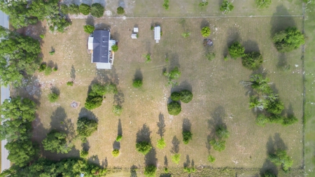 3 Bed 2 Bath Mobile Home On Almost 4.5 Acres - image 6