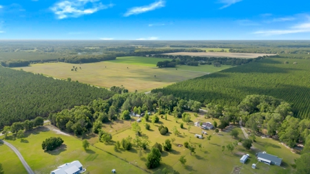 3 Bed 2 Bath Mobile Home On Almost 4.5 Acres - image 10