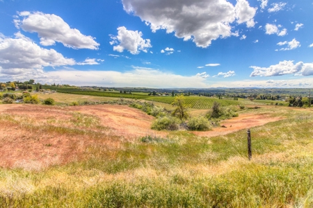 Harmony Hill Country Home on Acreage - image 44