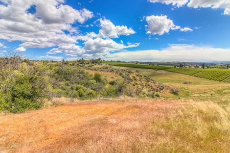 Harmony Hill Country Home on Acreage - image 43