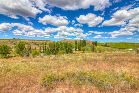 Harmony Hill Country Home on Acreage - image 46