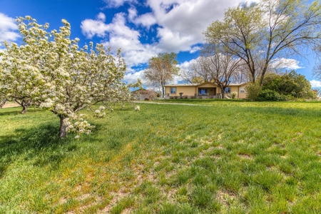 Harmony Hill Country Home on Acreage - image 47