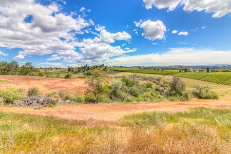 Harmony Hill Country Home on Acreage - image 42
