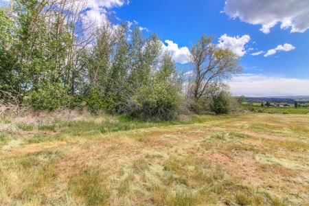 Harmony Hill Country Home on Acreage - image 45