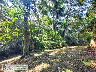 Affordable Titled Lot with Elevation on Isla Solarte - image 1