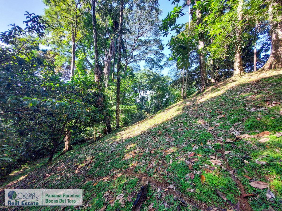 Affordable Titled Lot, 2,092 m² — Isla Solarte - 8
