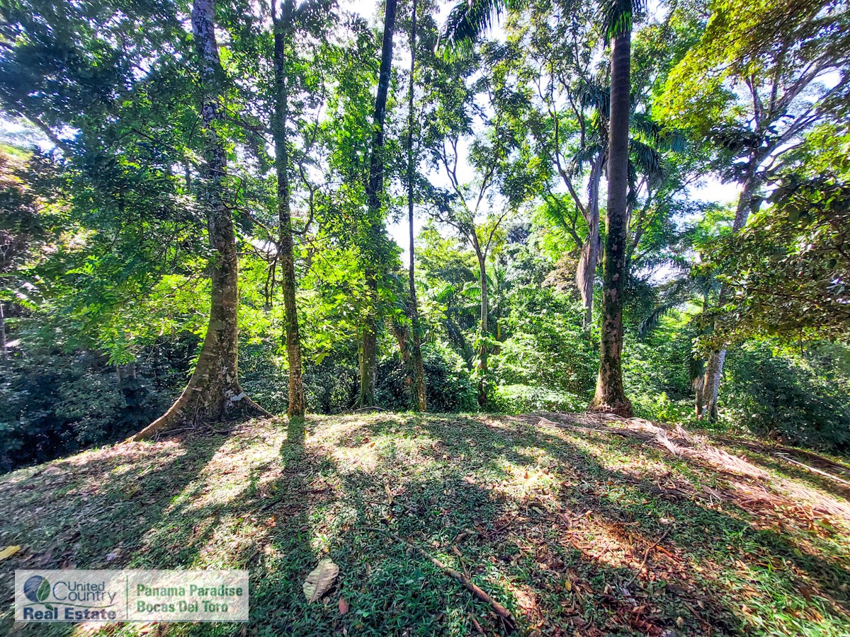 Affordable Titled Lot, 2,092 m² — Isla Solarte - 5