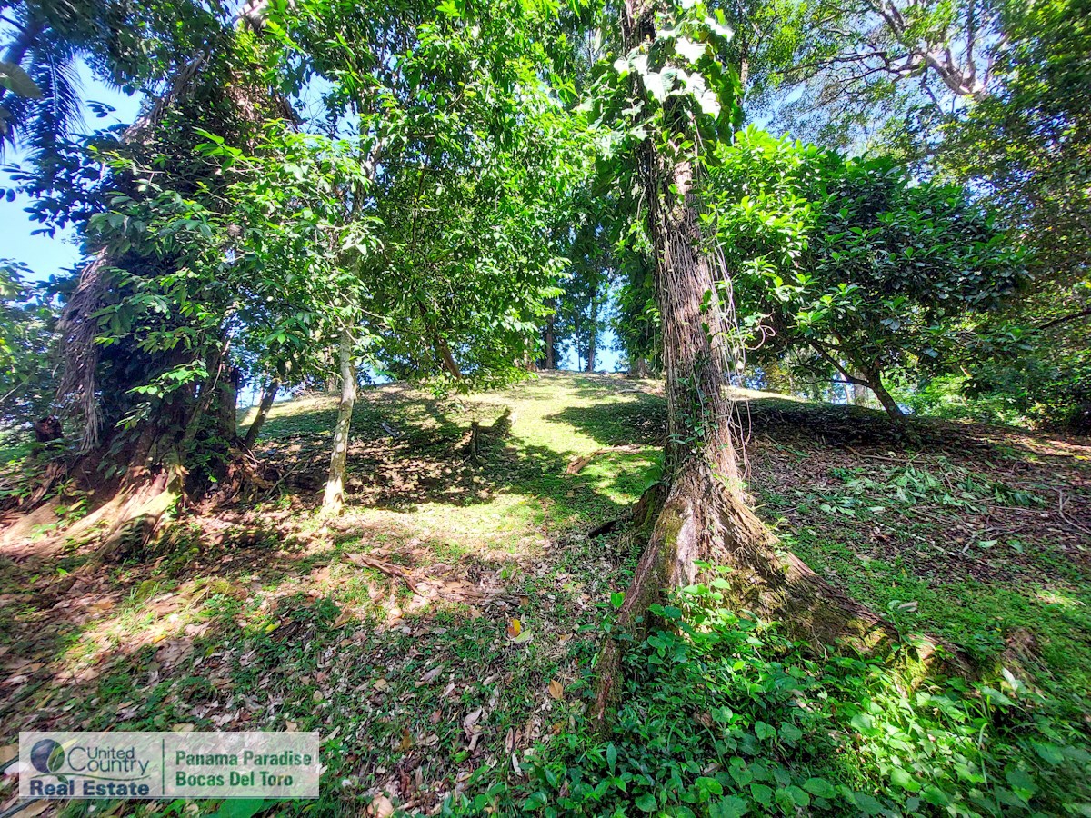 Affordable Titled Lot, 2,092 m² — Isla Solarte - 4