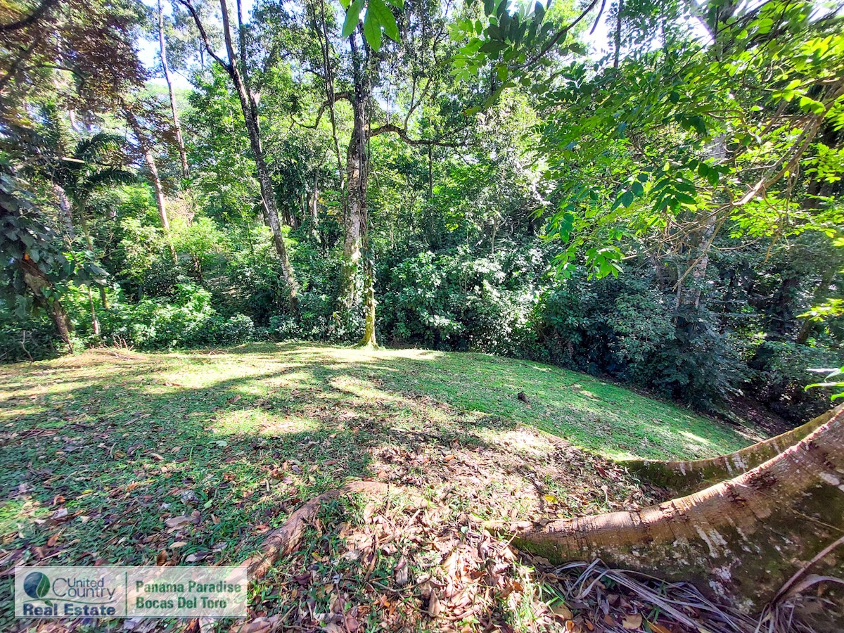 Affordable Titled Lot, 2,092 m² — Isla Solarte - 2