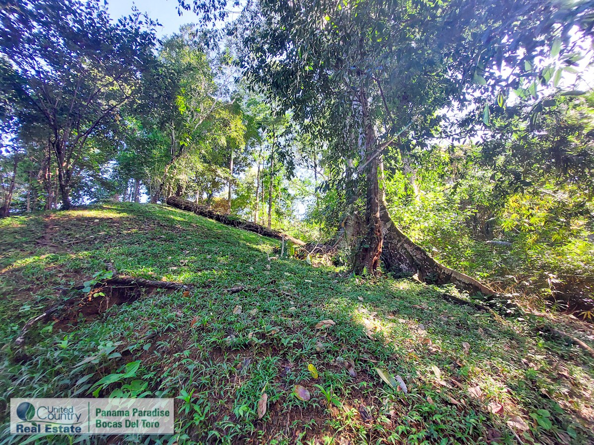 Affordable Titled Lot, 2,092 m² — Isla Solarte - 10