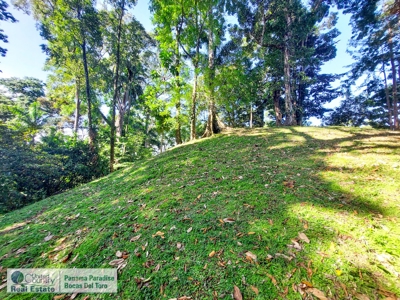 Affordable Titled Lot with Elevation on Isla Solarte - image 3